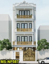 Mẫu thiết kế nhà ống 4 tầng tân cổ điển 6x16m có tầng hầm & thang máy và 4 phòng ngủ ở Bình Tân