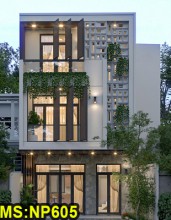 Mẫu thiết nhà ống 3 tầng xanh mát: Ánh sáng & Không gian tối ưu